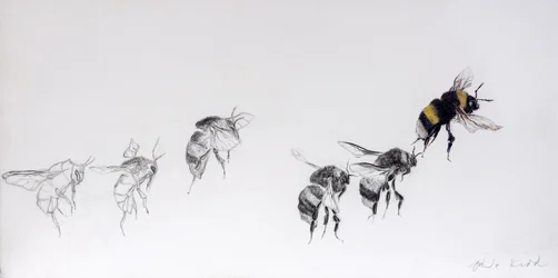 Flight Pattern, 2014