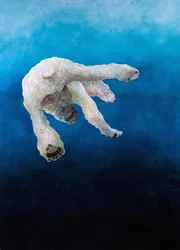 Polar Bear 1