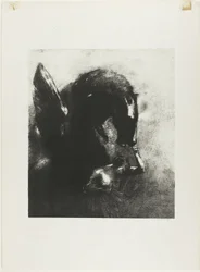 Captive Pegasus