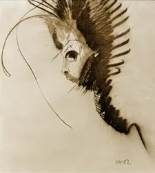 The Dragon