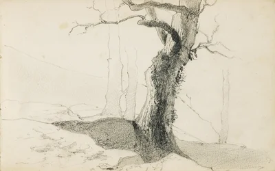 Drawing from an Album Titled 