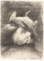 The Impotent Wing Did Not Lift the Animal into That Black Space