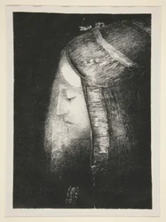 Profile of Light