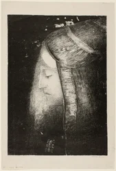 Profile of Light