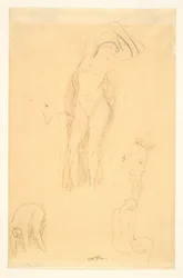 Sheet of Studies (Nude and Bearded Profile)