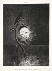 The Marsh Flower, a Sad Human Head