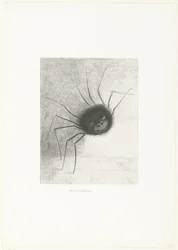 The Spider