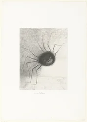 The Spider