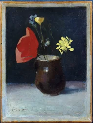 Unknown Image