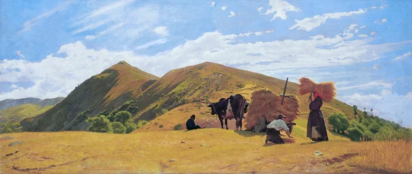 Grain harvest in the mountains of San Marcello