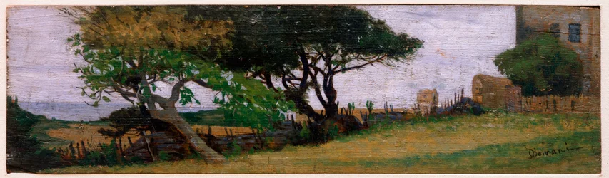 Landscape near Castiglioncello, Italy