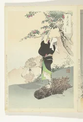 Woman Picking Wild Cherries