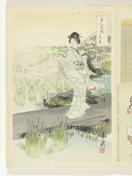 Iris Garden