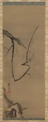Prunus, hanging scroll, c.1700