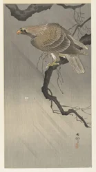 Eagle on Branch