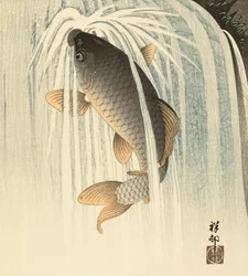 Carp Under a Waterfall