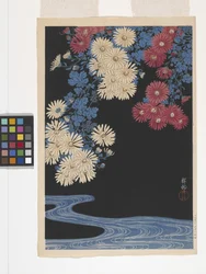 Chrysanthemums And Stream