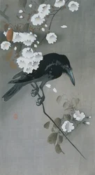 Crow in a Cherry Blossom branch