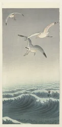 Three Seagulls