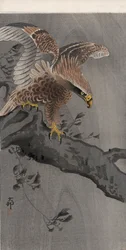Eagle with Spread Wings on Tree Trunk