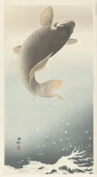 Carp