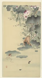 Frog and Tadpoles