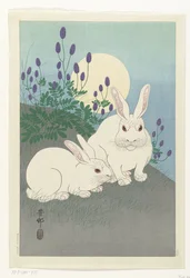 Rabbits by Full Moon