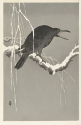 Crow on Snowy Tree Branch