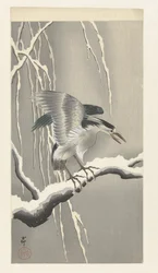 Heron on Snowy Branch