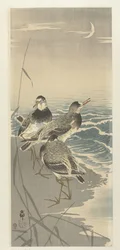 Sandpipers by Crescent Moon
