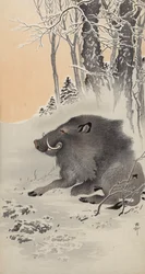 Reclining Boar in a Snow-Covered Landscape