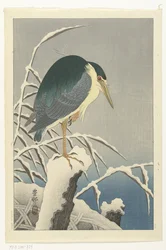 Heron in snow