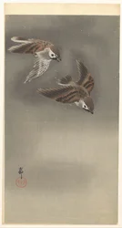 Sparrows in Snow