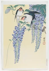 Swallows and Wisteria