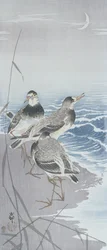Three Sandpipers at the Waterside in Front of Reeds