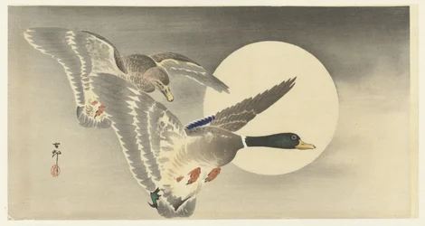 Two Ducks by Full Moon