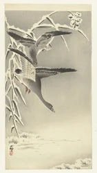 Two White-fronted Geese in a Snowy Landscape