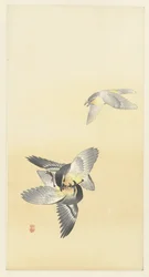 Two Fighting Birds