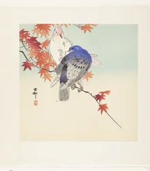Two Pigeons on a Branch with Autumn Leaves