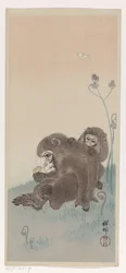 Two monkeys with a butterfly, c.1900-45