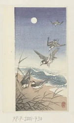 Birds by Full Moon