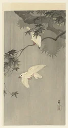Birds in Rain