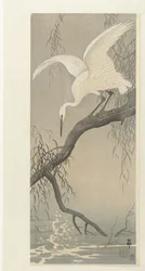 White Heron on Tree Branch