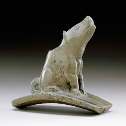 Coyote Platform Pipe
