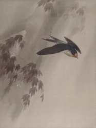 A Swallow in the Rain