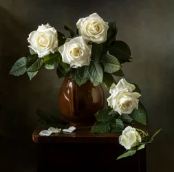 Elegant White Roses