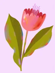 Vibrant Pink Bloom