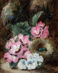 Still Life with Bird