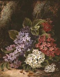 Still Life with Blossom