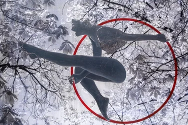 Aerialist, 2021
